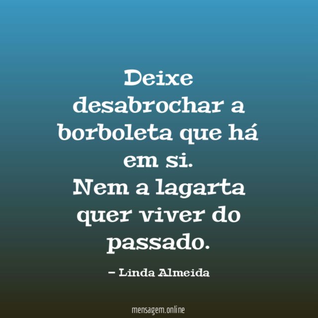 Deixe desabrochar a borboleta que há em si