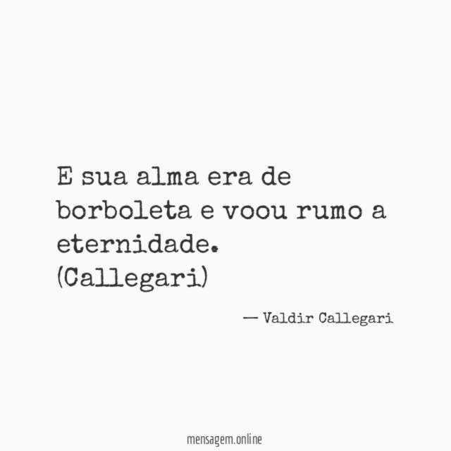 E sua alma era de borboleta e voou rumo a eternidade.