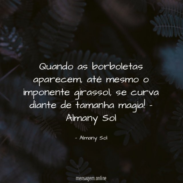 Quando as borboletas aparecem