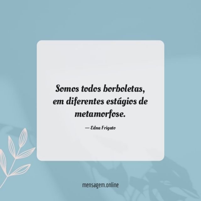 Somos todos borboletas
