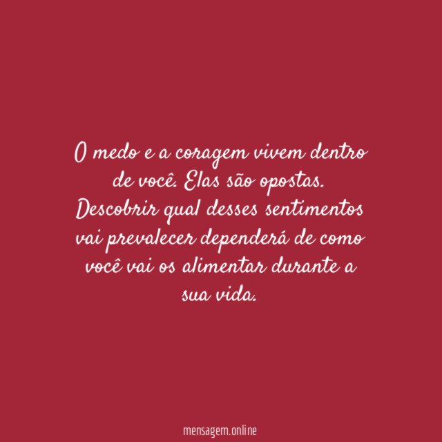 O que você alimenta