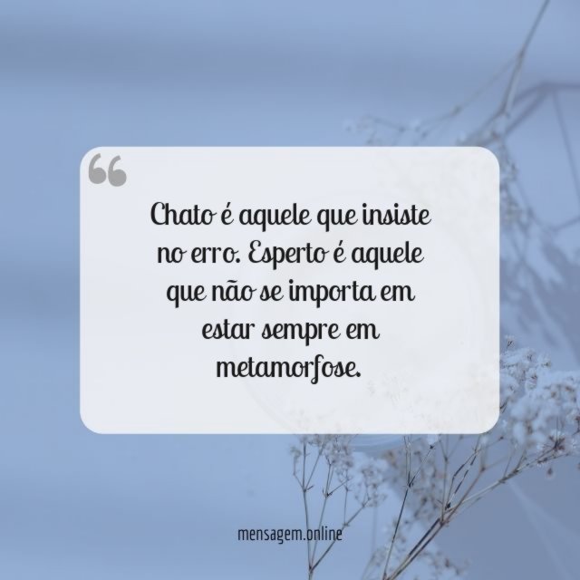 Metamorfose