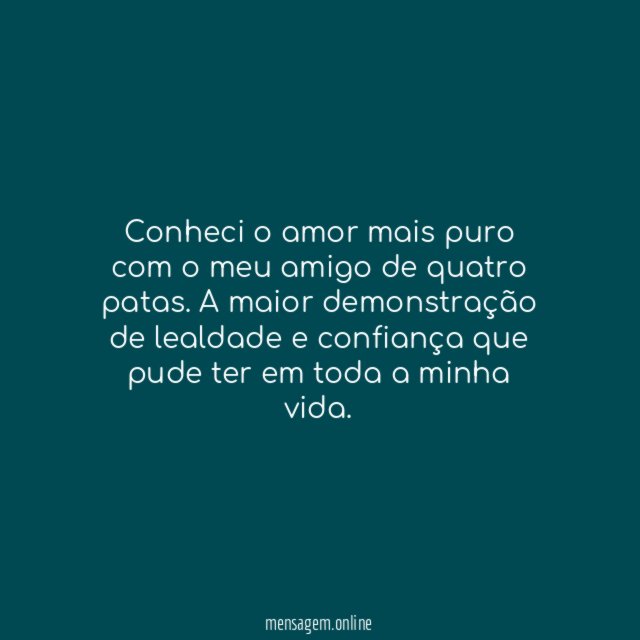Amor de quatro patas