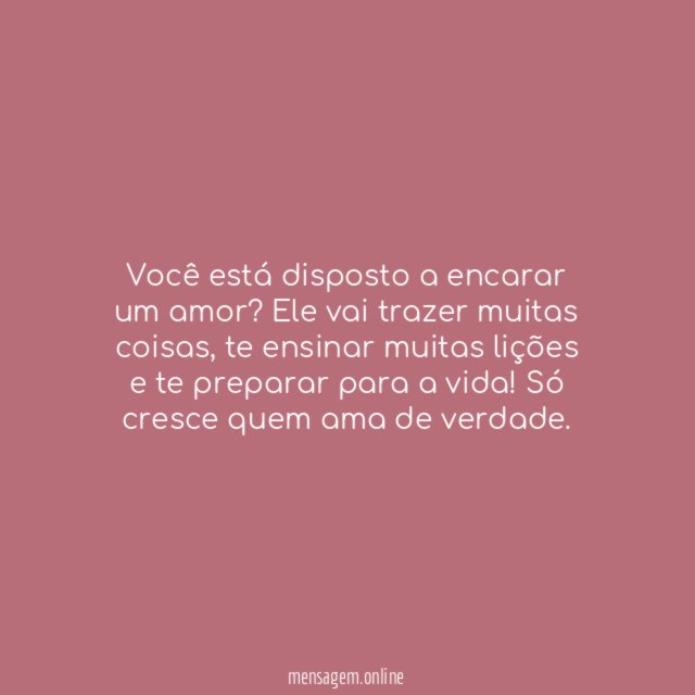 Disposição