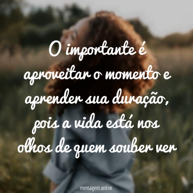 O importante é aproveitar o momento e aprender sua duração