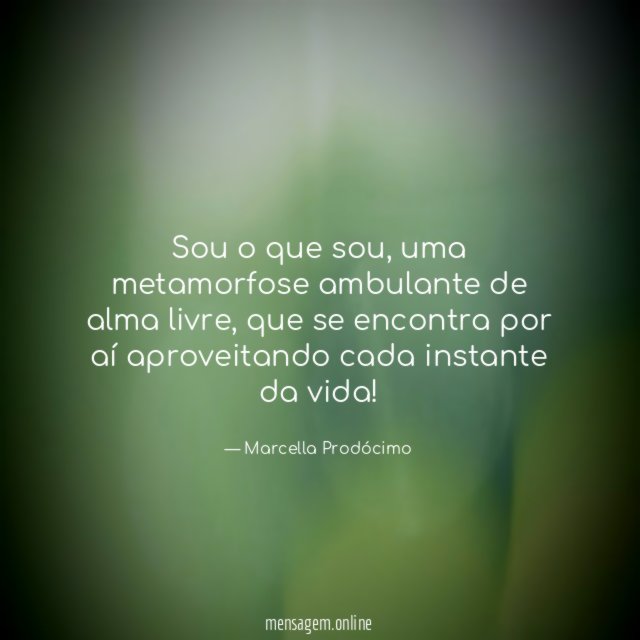 Sou o que sou