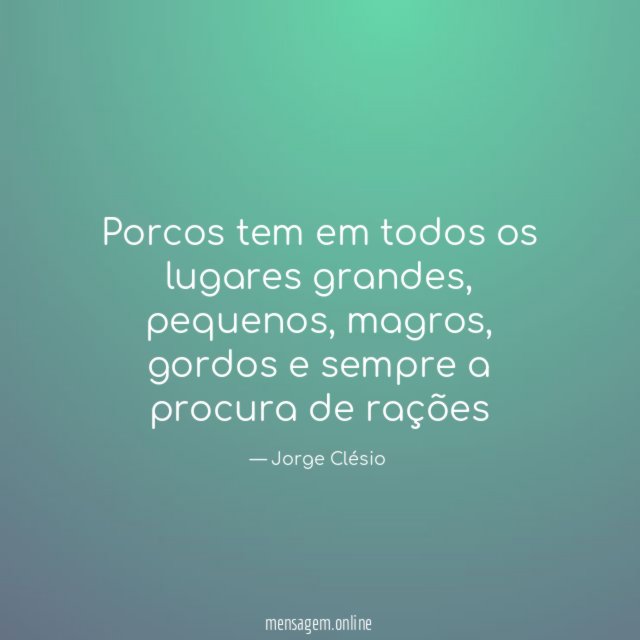Porcos tem em todos os lugares grandes