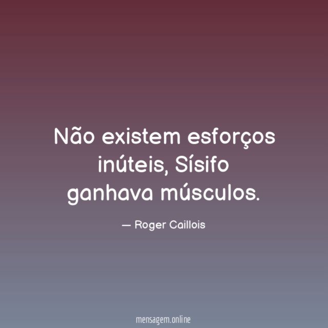 Não existem esforços inúteis