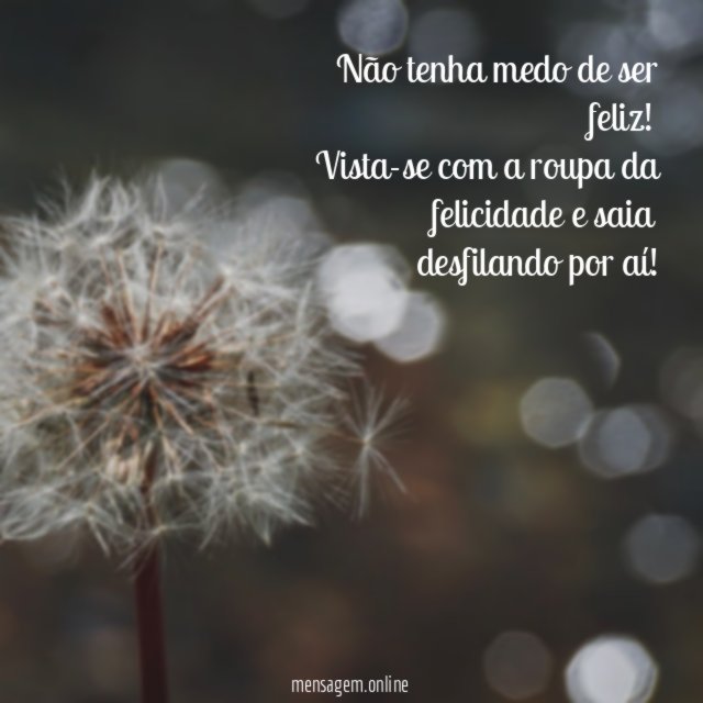 Medo