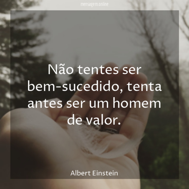 Não tentes ser bem-sucedido