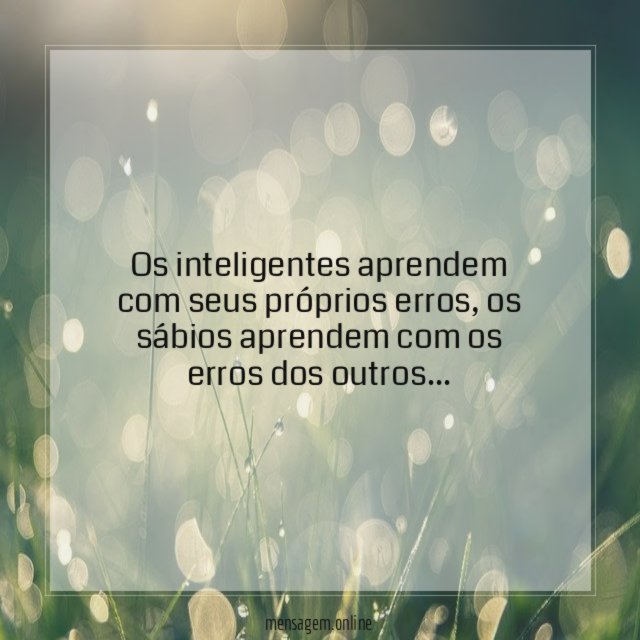 Os inteligentes aprendem com seus próprios erros