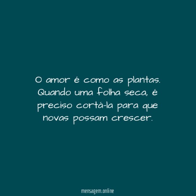 Folhas secas