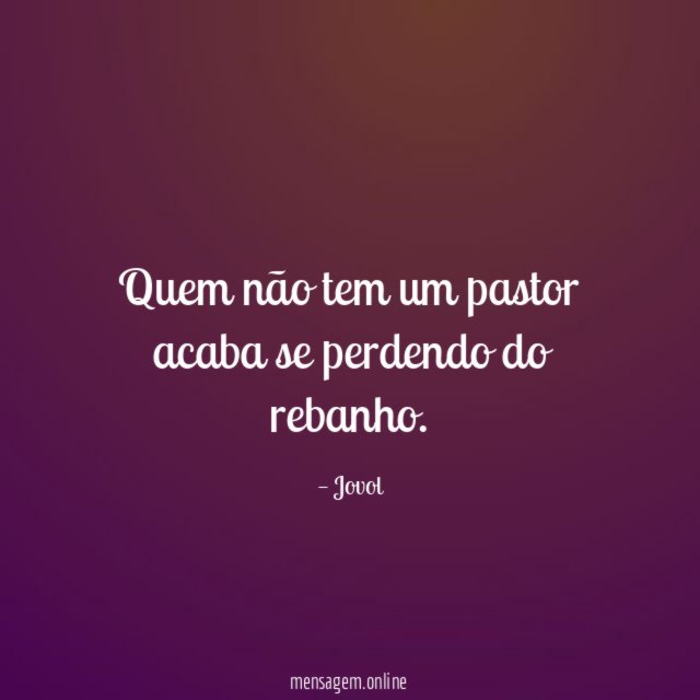 Quem não tem um pastor acaba se perdendo do rebanho