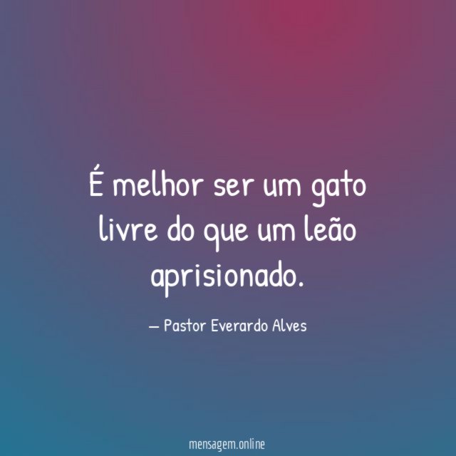 É melhor ser um gato livre do que um leão aprisionado