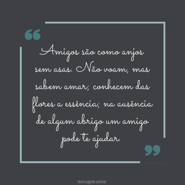 Não voam, mas sabem amar