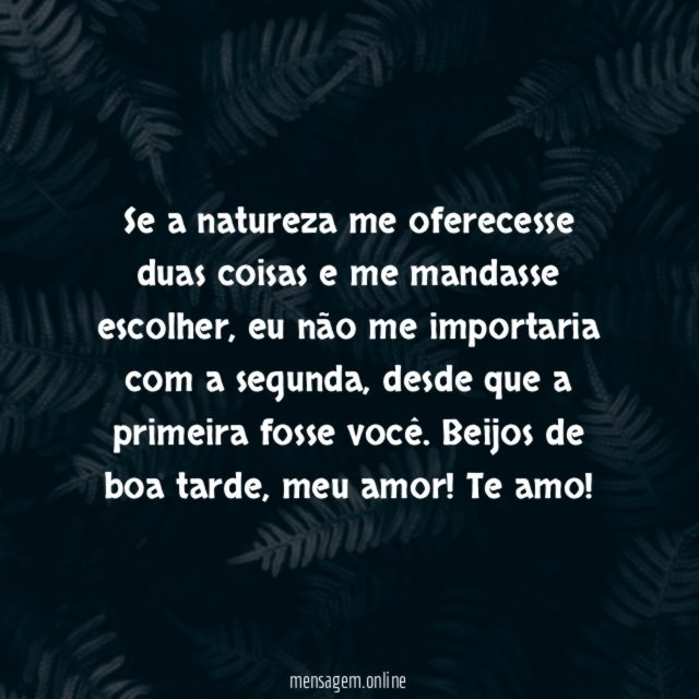 Beijos de boa tarde
