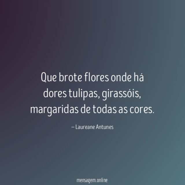 Flores