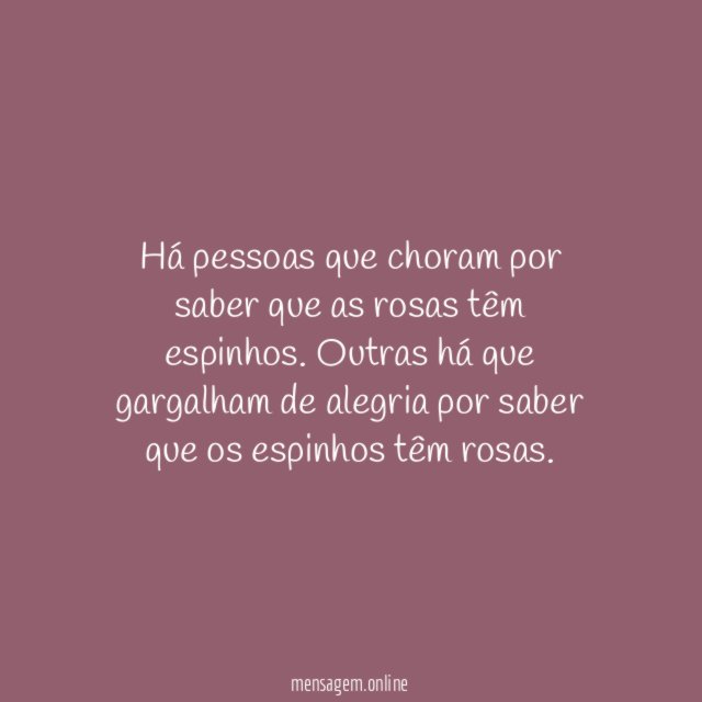 Rosas e espinhos