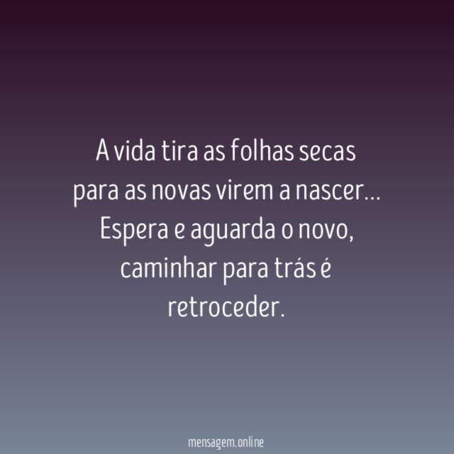 Folhas secas