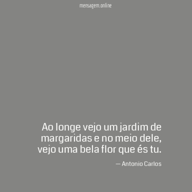 Bela flor