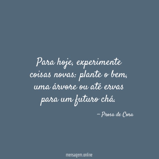 Coisas novas