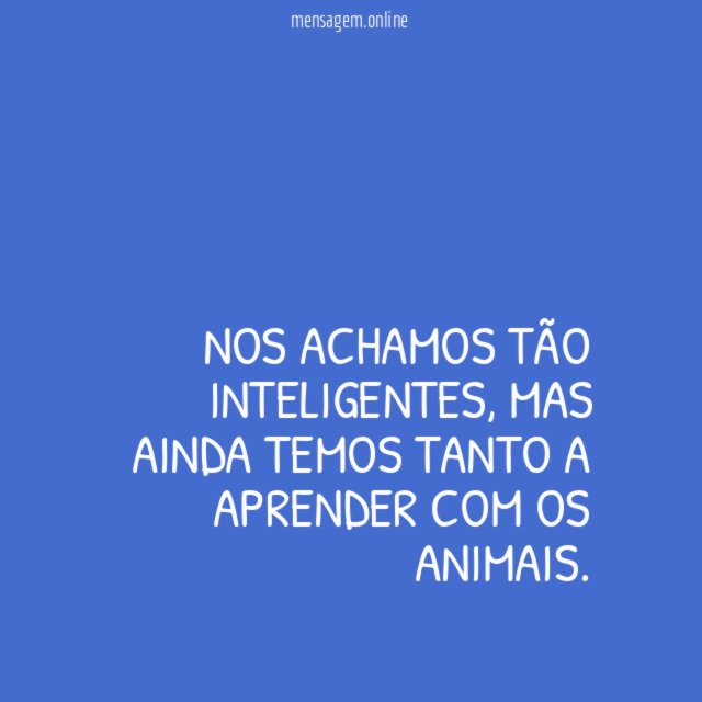 Aprendemos com os animais