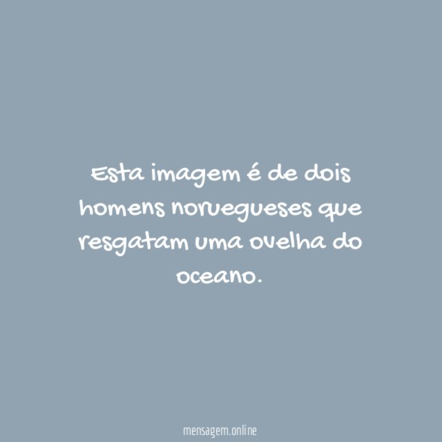 A Ovelhinha