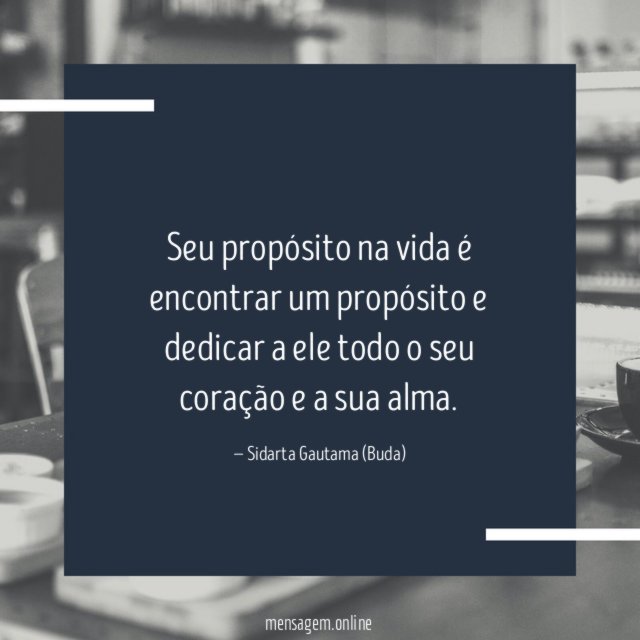 Seu propósito na vida é encontrar um propósito