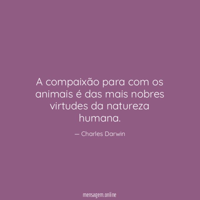 Virtudes