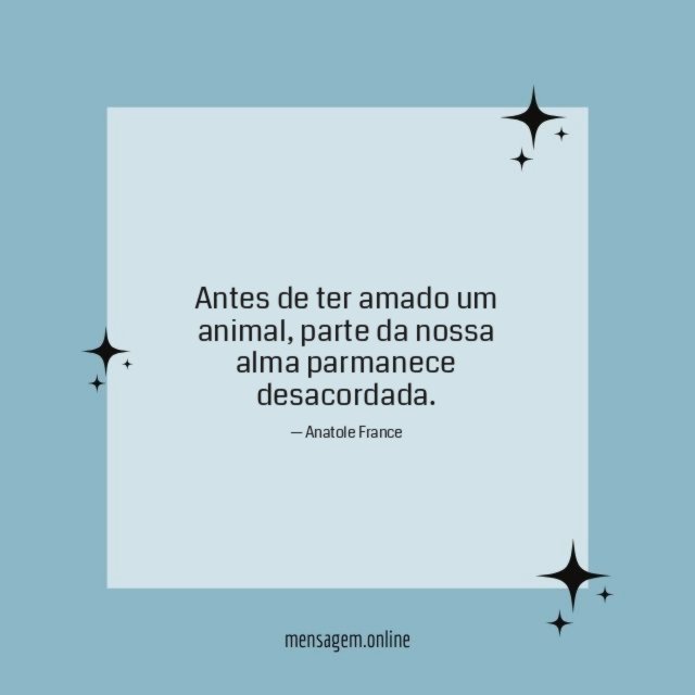 Amor