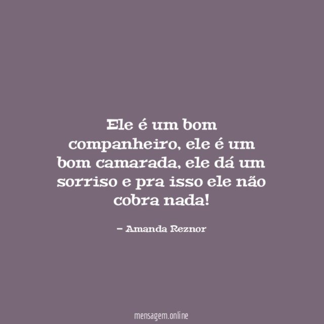 Bom Camarada