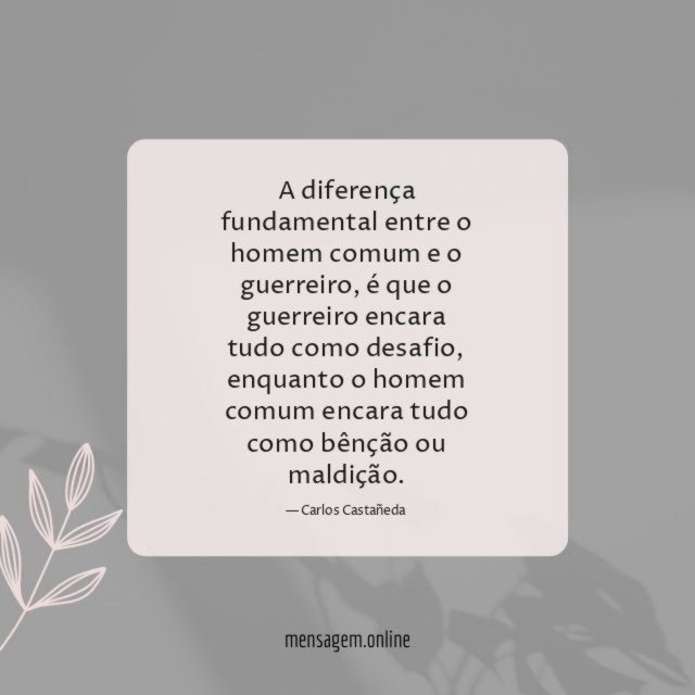 Homem e Guerreiro