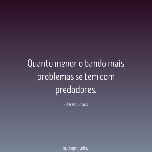 Quanto menor o bando mais problemas se tem com predadores