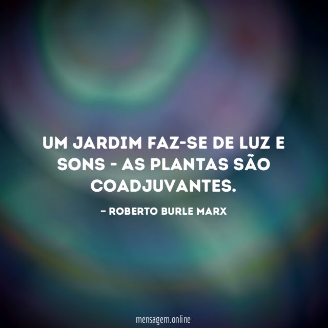 Um jardim faz-se de luz e sons -