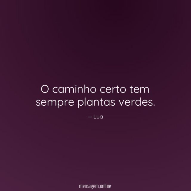 O caminho certo tem sempre plantas verdes