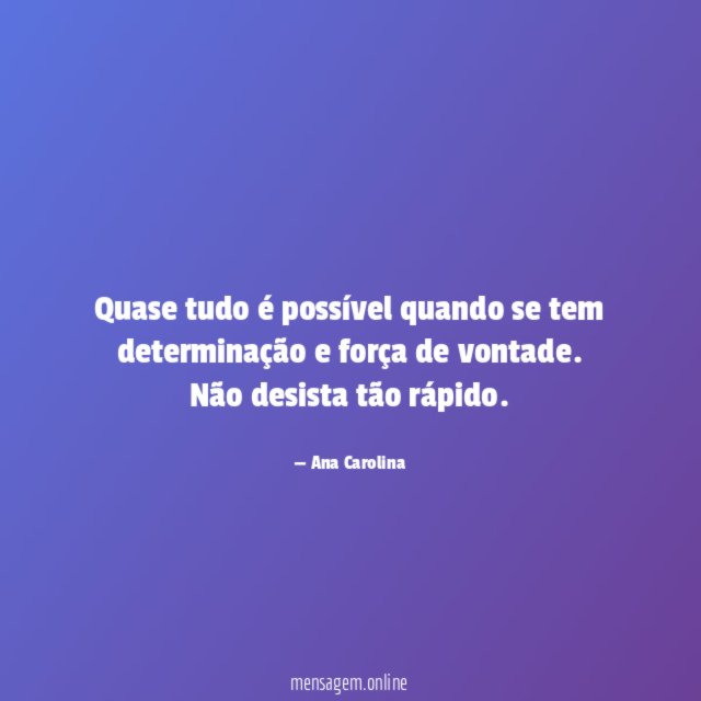 Quase tudo