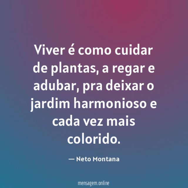 Viver é como cuidar de plantas