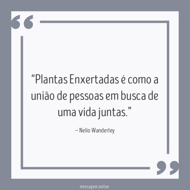 Plantas Enxertadas é como a união de pessoas