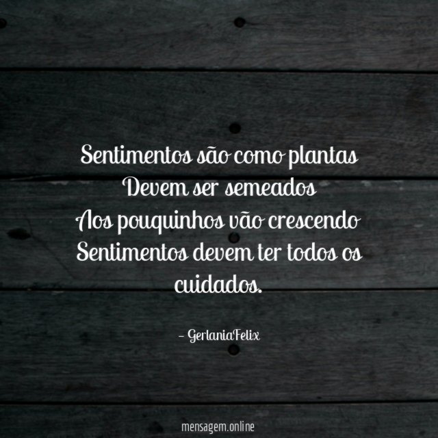 Sentimentos são como plantas Devem ser semeados Aos pouquinhos vão