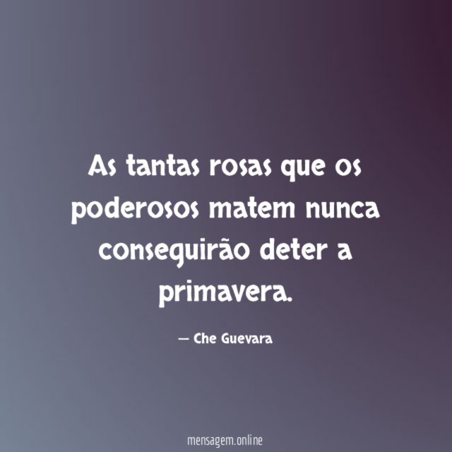 As tantas rosas que os poderosos matem nunca
