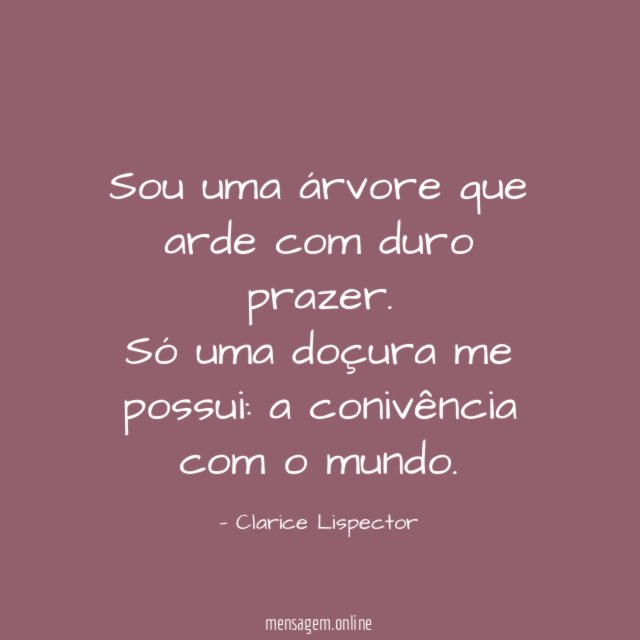 Só uma doçura…