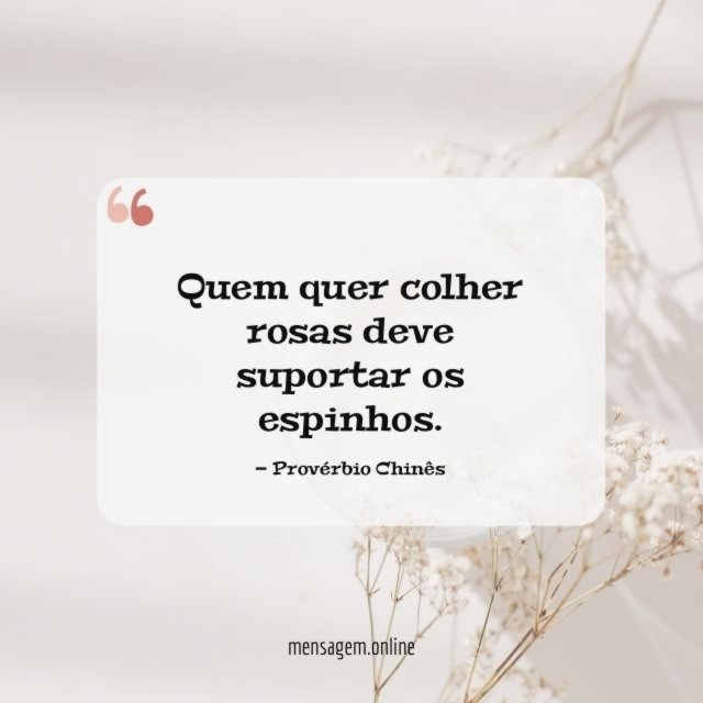 Quem quer colher rosas deve suportar os espinhos