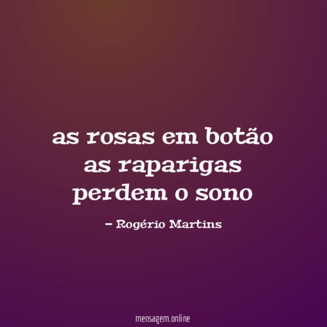 as rosas em botão as raparigas perdem o sono