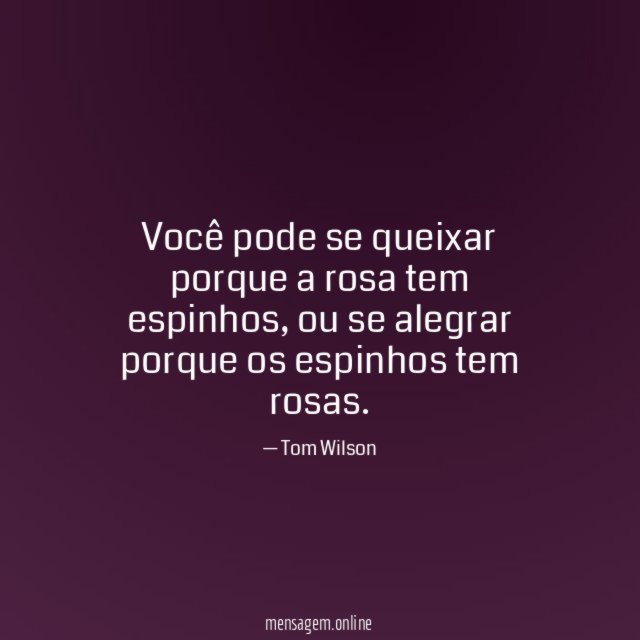 Você pode se queixar porque a rosa tem espinhos