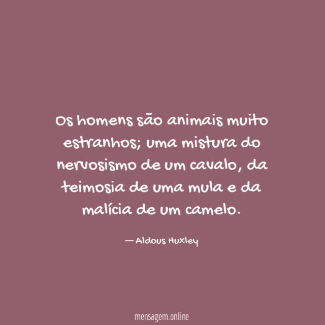 Animais muito estranhos
