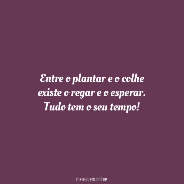 Plantar e colher