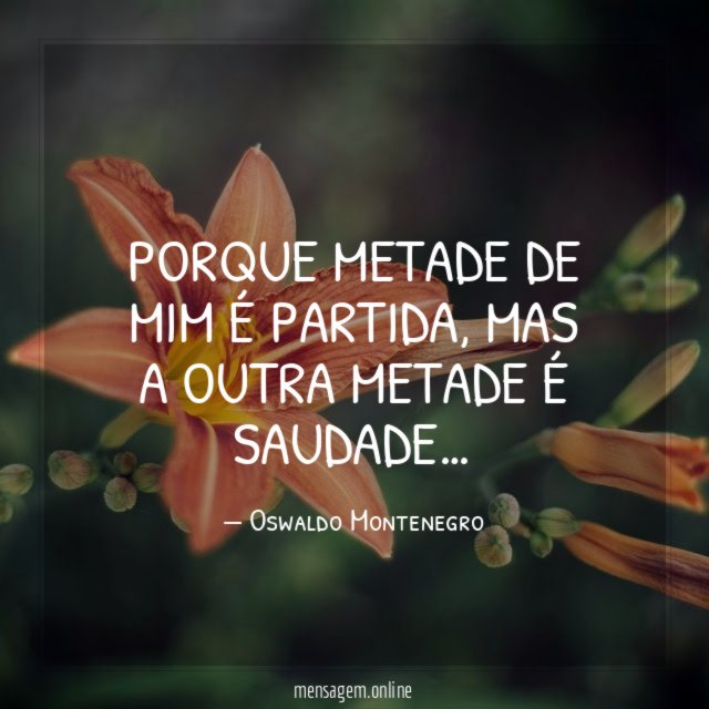 Porque metade de mim é partida