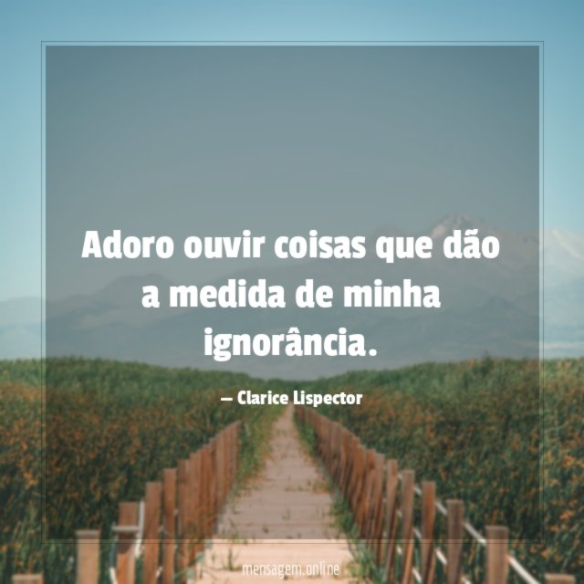 Adoro ouvir coisas que dão a medida de minha ignorância