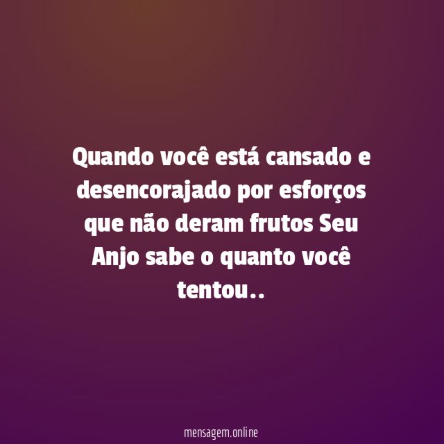 Seu Anjo Sabe!