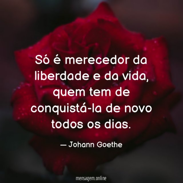 Só é merecedor da liberdade e da vida